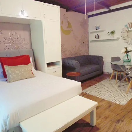 Coyotito Beds San Angel, Suites Con Encanto!