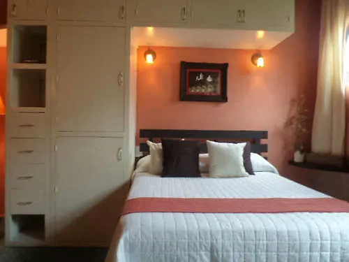 Coyotito Beds San Angel, Suites Con Encanto! 2* Mexico City